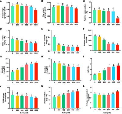 Comparative transcriptome analysis reveals the adaptive mechanisms of halophyte Suaeda dendroides encountering high saline environment